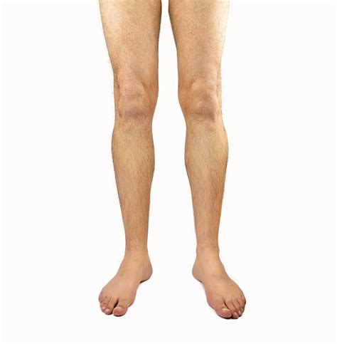 hairy man legs|140 Hairy Legs Men Stock Photos and High.